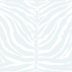 Tiger Stripe Snow Gum