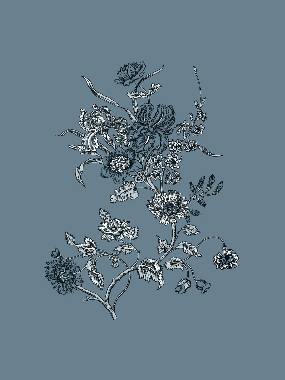 Florence Broadhurst Carnation, Cornflower Blue