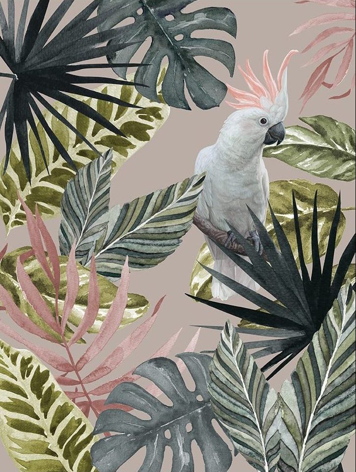 Tropical Cockatoo