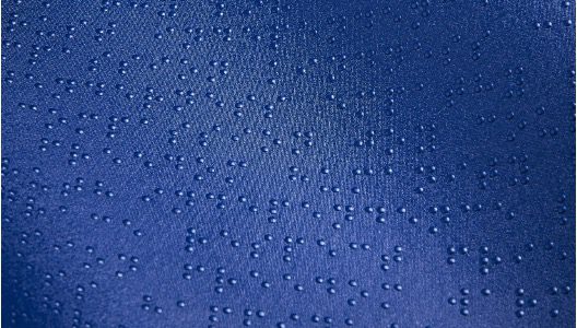 louis blueberry braille wall covering