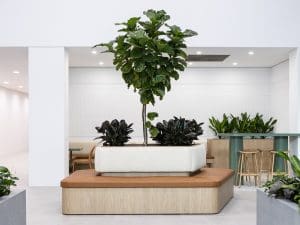 Ergoline Commercial Furniture, organic design