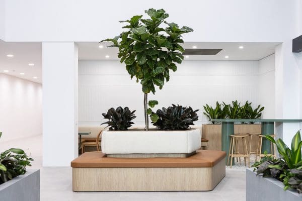 Ergoline Commercial Furniture, organic design