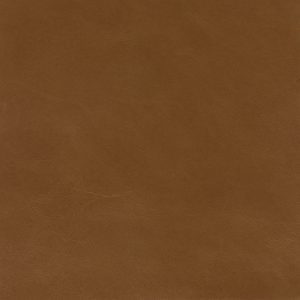 Allora Toasted Caramel - Crypton Leather