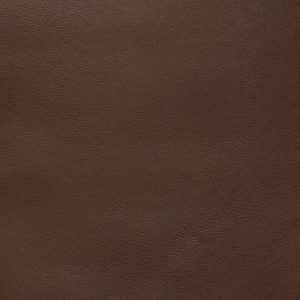 Chesapeake Bronze - Crypton Leather