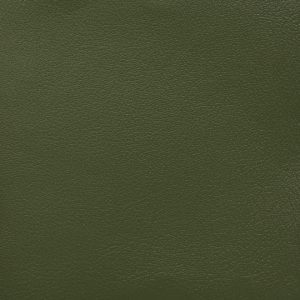 Chesapeake Moss - Crypton Leather