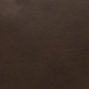 Cafe Candied Pecan - Crypton Leather