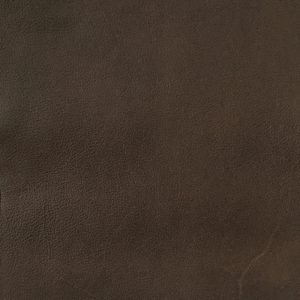 Cafe Espresso Bean - Crypton Leather
