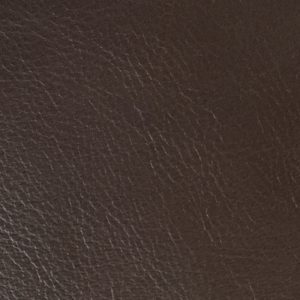 Cafe Fig - Crypton Leather