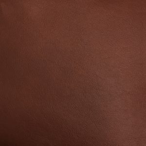 Cafe Spice - Crypton Leather