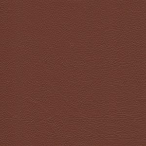 Catalina Earthy  - Crypton Leather