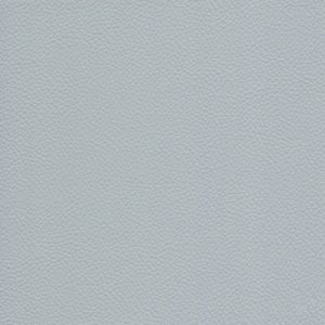Catalina Monorail Silver - Crypton Leather