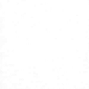 Catalina White - Crypton Leather