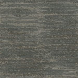 Onslow Mangrove Forest - Wall Covering