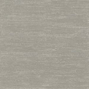 Onslow Mollusk - Wall Covering