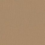 Renew Vicuna
