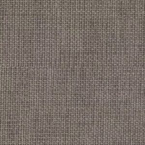 SHOALHAVEN PUMICE - WALL COVERING