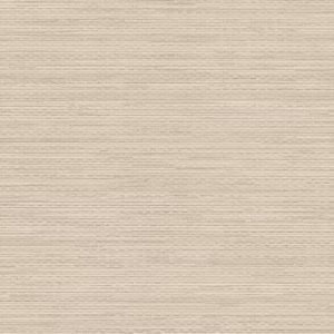 Vamizi Texture Adventure - Wall Covering