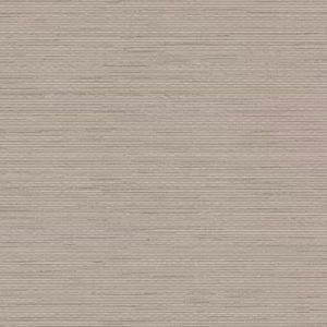 Vamizi Texture Sightsee - Wall Covering