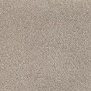 Canter EPU Blush Grey