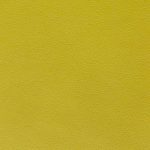 Canter EPU Kiwi Green