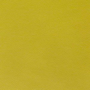 Canter EPU Kiwi Green