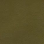 Canter EPU Pine