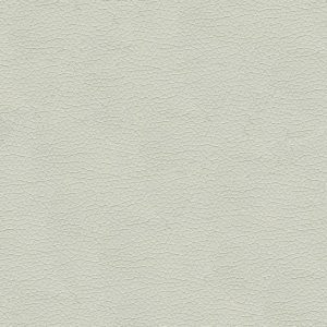 Canter EPU Polar Blue