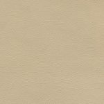 Canter EPU Sand Dollar