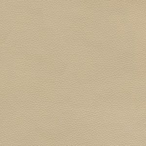 Canter EPU Sand Dollar