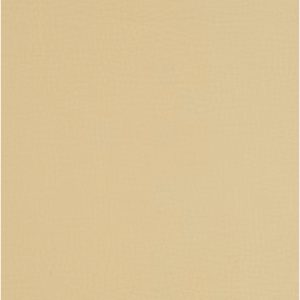 Canter EPU Sand