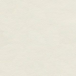Canter EPU Summer White