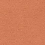 Canter EPU Wood Rose