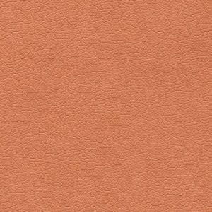 Canter EPU Wood Rose