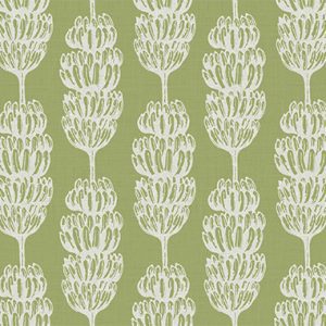 Banana Stripe Agave - Grace Garrett