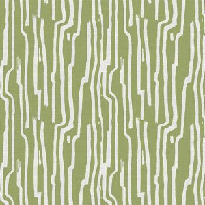 Sandstone Stripe Agave - Grace Garrett
