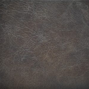 Florence Basilica - Crypton Leather
