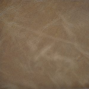 Florence Duomo - Crypton Leather