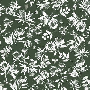 Native Shadows Forest - Hot Off The Press