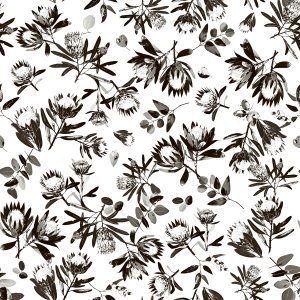 Native Shadows Monochrome - Hot Off The Press