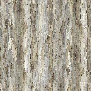 Paperbark Winter - Hot Off The Press