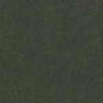 Terraleather Evergreen
