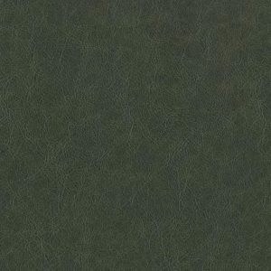 Terraleather Evergreen