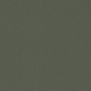 Terrapebble Dill