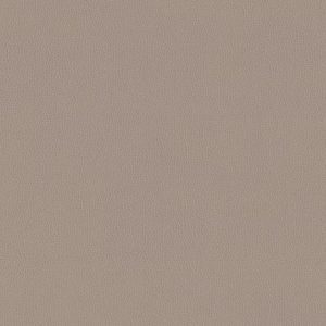 Silica Leather Dove