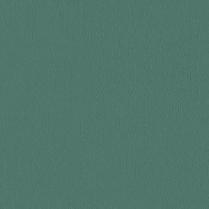 Silica Leather Jade