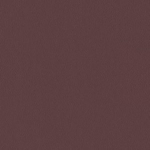 Silica Leather Raisin