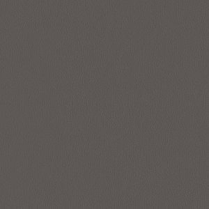 Silica Leather Shadow