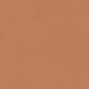 Silica Leather Toffee