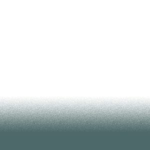 Dip Whale