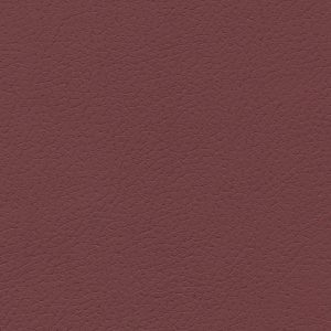 Brisa Beetroot